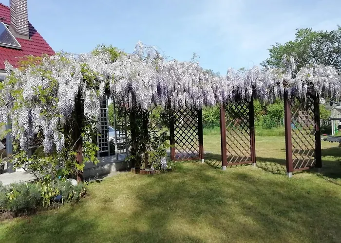 Дом отдыха Domek Letniskowy Szuwarek