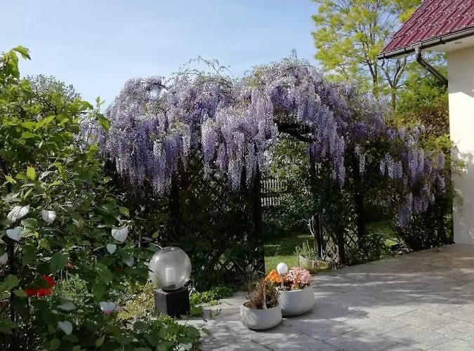 Domek Letniskowy Szuwarek *