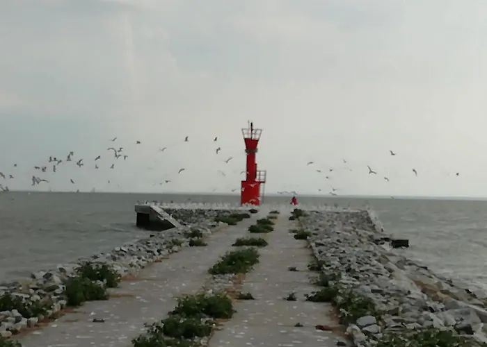 Domek Letniskowy Szuwarek Дом отдыха *